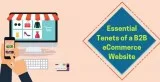 Essential tenets of a b2b ecommerce website