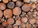 Best Seasoned Firewood For Sale