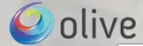 Web Hosting Services in Delhi &ndash Olive E Business