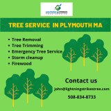 Tree Service in Plymouth MA