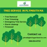Tree Service in Plymouth MA