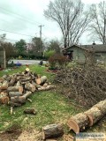 Tree&nbspTrimming&n bspKnoxville
