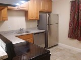 No broker fee dogcat friendly Beautifully renovated 1 bedroom ap