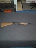 Pellet Gun