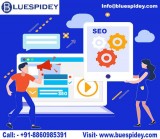 Best SEO Agency in Delhi NCR