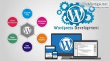 Wordpress Web Development Company in India