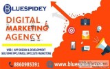 Top Digital Marketing Agency in Delhi NCR  Blue Spidey