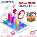 Best Social Media Marketing Agency in Delhi NCR  Blue Spidey