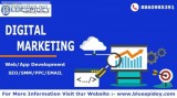 Top Digital Marketing Agency  Bluespidey