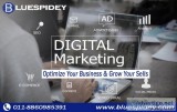 Best Search Engine Marketing Agency in Delhi NCR SEO