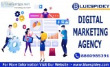 Bluespidey Best Digital Marketing Agency SEOSMMPPC