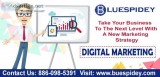Best Website Designing and App Development Agency in Delhi India