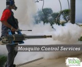Book Professionals for Mosquito Control Services in Hyderabad