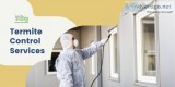 Consult Experts for an Effective Termite Control Services