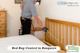 Eliminate Bed Bugs with Pest Control Services in Hyderabad