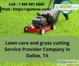 Lawn care and grass cutting Service Provider Company in Dallas T