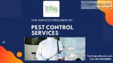 Contact Professionals for Pest Treatment Services in Hyderabad