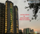Take A Smart Move Towards ApexAlphabet