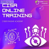 Search For a CISA Online Training