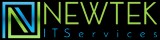 Web Design Company in orlando Florida  Newtek IT Services