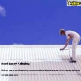 Roof Spray Painting