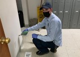 Rodents Removal service Nassau County
