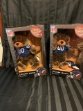 COLTS BEAR