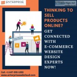 Get connected with E-commerce website design experts Now