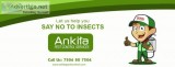 Pest control for Cockroaches in mumbai