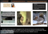 Attic Pest Removal at Affordable Price