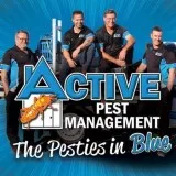 Spider Control Byron Bay At Active Pest