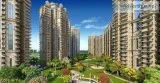 Book your home with pay just 7% in Ajnara Ambrosia  9250001807