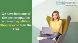 Connect with the best Shopify experts in the USA