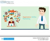Las Vegas Web Design Company  V1 Technologies