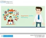 Las Vegas Web Design Company  V1 Technologies