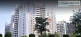 Apartments for Rent in Parsvnath Exotica Golf Course Road Gurgao