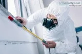 Pest Control Professionals Hampshire
