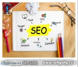 Best Seo Services Company in Gurgaon - Why Shy