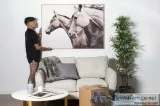 Professional Movers Melbourne  Relocation Services Melbourne  Pr