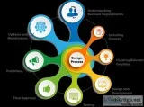 Website Designing Company in Noida - Digiinte