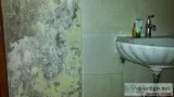 Retaining Wall Leakage Waterproofing  waterproofing companies in