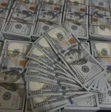 Authentic frozen dollars for sale and exchange