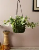 Enjoy the best deals on outdoor flower pots online at Wooden Str