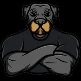BIG DOGS JUNK REMOVAL SERVICE CHEAPEST IN TOWN WE PROMISE