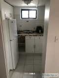 Small Studio in Flushing  only 1 working person  Lady