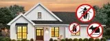 San Antonio Termite Inspection  Exterminators San Antonio Texas