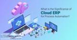 Cloud ERP A Revolution in the World of Digital Era