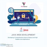 Professional java web application development services