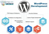 Wordpress development company in india