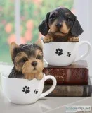 Tea Cup Pup - Dachshund